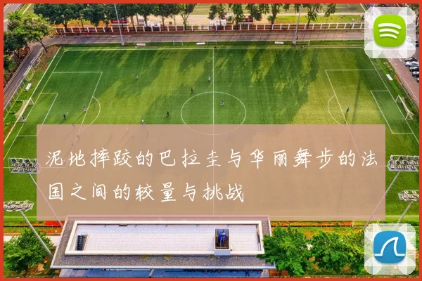 泥地摔跤的巴拉圭与华丽舞步的法国之间的较量与挑战